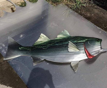 Sean Tuttle's Exquisite Handmade Metal Wall Art: Striped Bass, a Stunning Depiction of the Iconic Atlantic Fish