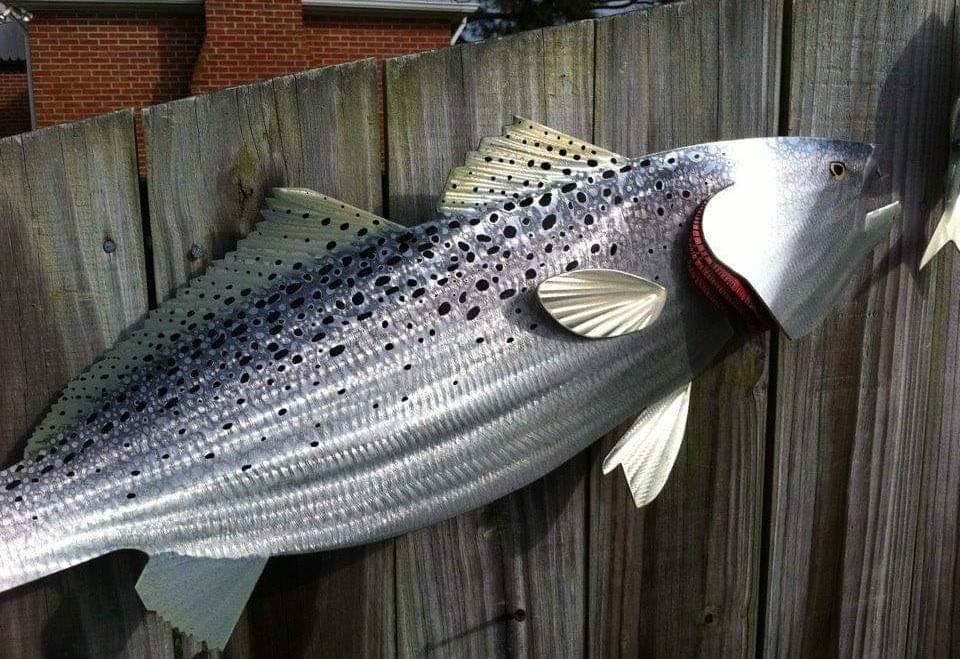 Captivating Speckled Trout: Sean Tuttle's Original Handmade Metal Wall Art Sculpture